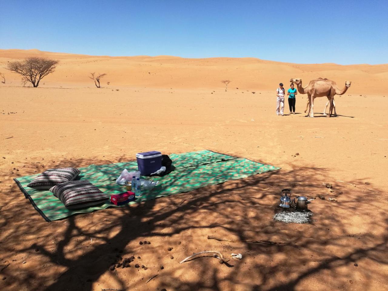 Sand Delight Camp Al Wāşil Екстериор снимка